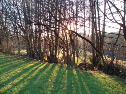 Fotografia de  - Galeria Fotografica: Naturaleza - Foto: Sombras