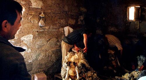 Fotografia de Graciela Cajal - Fotografias - Galeria Fotografica: Fotografias de Graciela Cajal - Foto: Paisanos del Campo