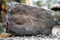 Fotografia de EDWAR - Galeria Fotografica: ROCA-HIERBA - Foto: ROCA