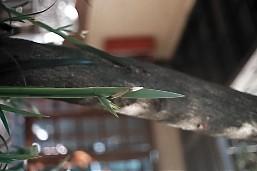 Fotografia de EDWAR - Galeria Fotografica: ROCA-HIERBA - Foto: RENACER