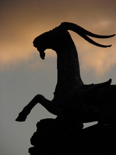 Fotografia de Zayari - Galeria Fotografica: Variadas - Foto: Carnero