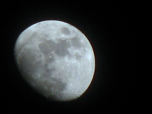 Fotografia de Gala - Galeria Fotografica: Mixed - Foto: Blue Moon