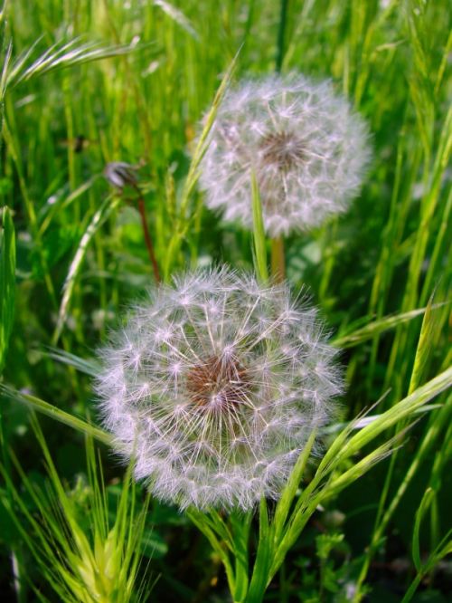 Fotografia de Zayari - Galeria Fotografica: Variadas - Foto: Valery y Hannia