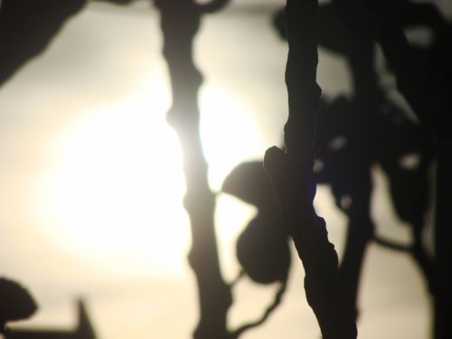 Fotografia de Gabe - Galeria Fotografica: Mundo Bello! - Foto: Higuera