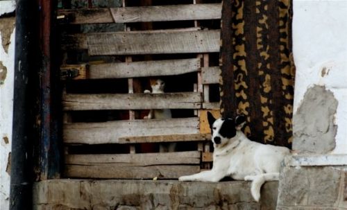 Fotografia de XAVO - Galeria Fotografica: FOTO TALLER - Foto: DOCUMENTAL