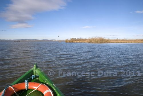 Fotografia de Francesc Dur - Galeria Fotografica: Albufera de Valncia - Foto: 