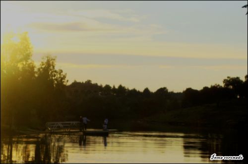 Fotografia de constante observancia - Galeria Fotografica: LOS JARALES - Foto: 