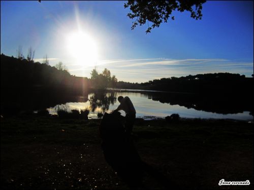 Fotografia de constante observancia - Galeria Fotografica: LOS JARALES - Foto: 