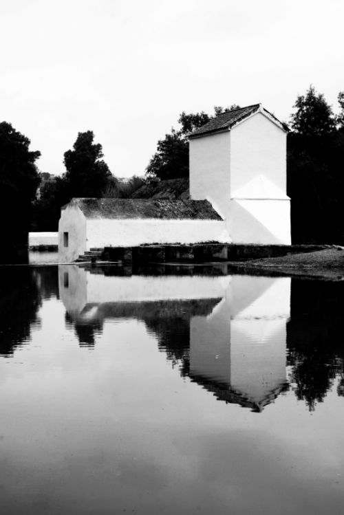 Fotografia de carlos sevilla - Galeria Fotografica: Sombras y reflejos - Foto: 