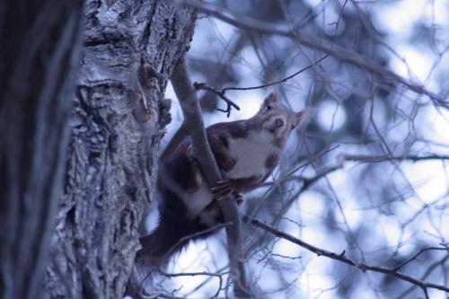 Fotografia de Maireles - Galeria Fotografica: naturaleza en vivo - Foto: 
