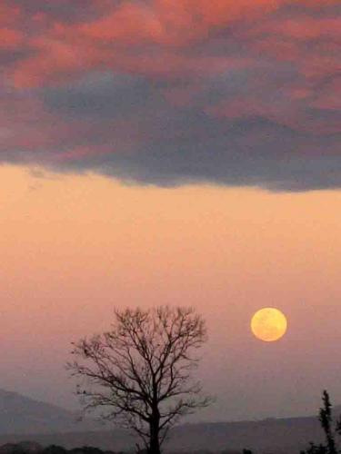 Fotografia de Cesar Magaa - Galeria Fotografica: Atardeceres - Foto: Celaje 3