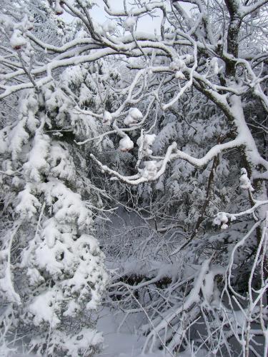 Fotografia de Ale Vallet - Galeria Fotografica: tierras frias - Foto: Narnia