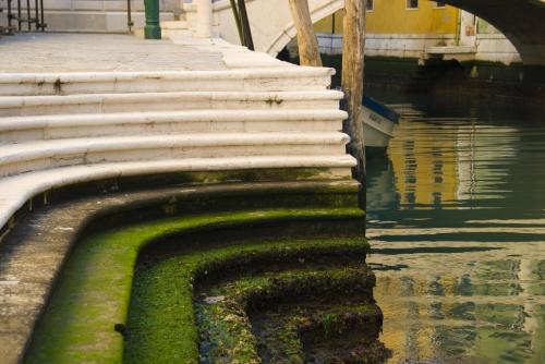 Fotografia de mich - Galeria Fotografica: Venecia en carnavales 2 - Foto: mareas