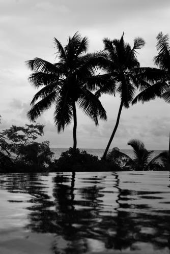 Fotografia de mich - Galeria Fotografica: bn mich - Foto: 