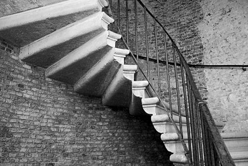 Fotografia de mich - Galeria Fotografica: bn mich - Foto: arriba