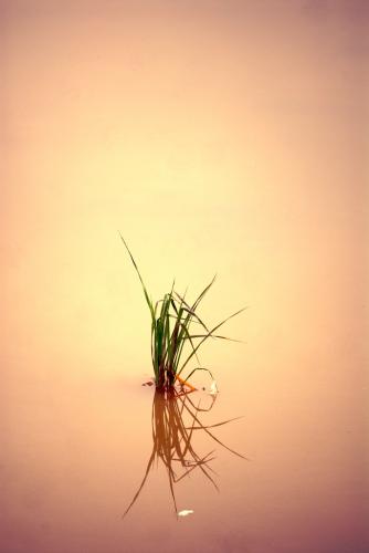 Fotografia de mich - Galeria Fotografica: Fotos mich - Foto: 