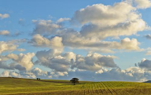 Fotografia de mich - Galeria Fotografica: Fotos mich - Foto: Campo de andalucia