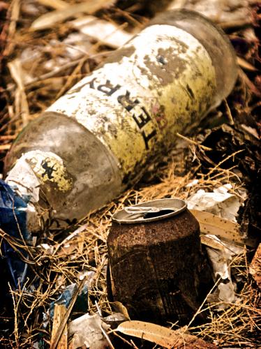 Fotografia de mich - Galeria Fotografica: Fotos mich - Foto: 