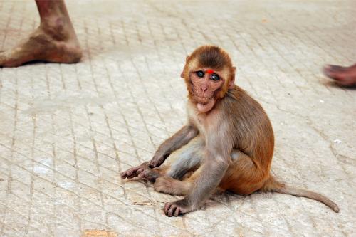 Fotografia de mmviatges - Galeria Fotografica: Les mirades de Shiva - Foto: 		El tercer ull						