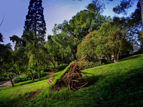 Fotografia de Diego Vallejo - Galeria Fotografica: RETIRO - Foto: 