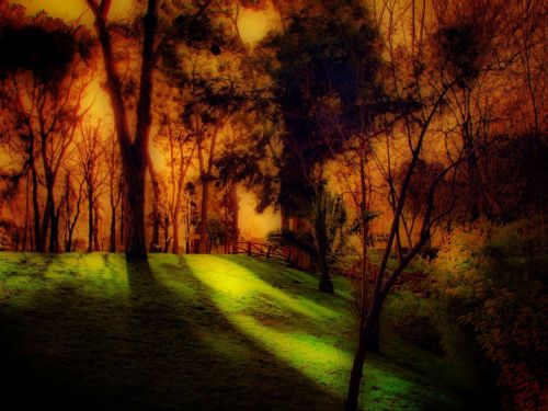 Fotografia de Diego Vallejo - Galeria Fotografica: RETIRO - Foto: 