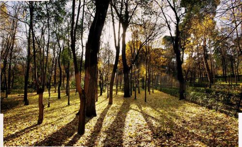 Fotografia de Diego Vallejo - Galeria Fotografica: RETIRO - Foto: 