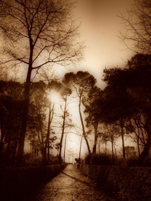 Fotografia de Diego Vallejo - Galeria Fotografica: RETIRO - Foto: 