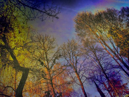 Fotografia de Diego Vallejo - Galeria Fotografica: RETIRO - Foto: 