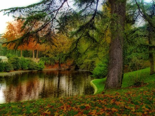 Fotografia de Diego Vallejo - Galeria Fotografica: RETIRO - Foto: 