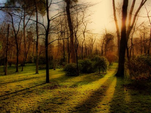 Fotografia de Diego Vallejo - Galeria Fotografica: RETIRO - Foto: 