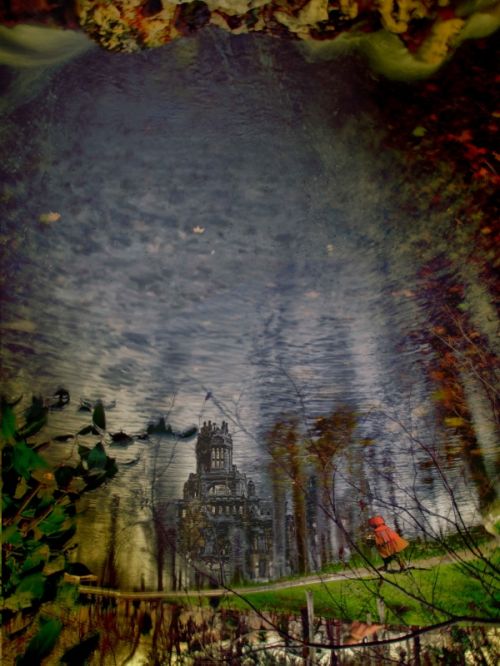 Fotografia de Diego Vallejo - Galeria Fotografica: RETIRO - Foto: 