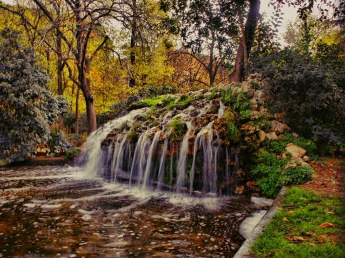 Fotografia de Diego Vallejo - Galeria Fotografica: RETIRO - Foto: 