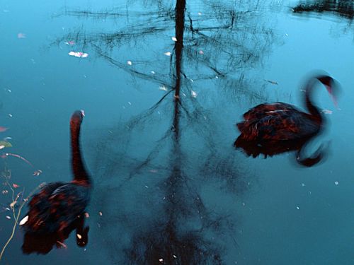 Fotografia de Diego Vallejo - Galeria Fotografica: RETIRO - Foto: 