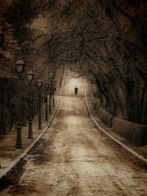 Fotografia de Diego Vallejo - Galeria Fotografica: RETIRO - Foto: 