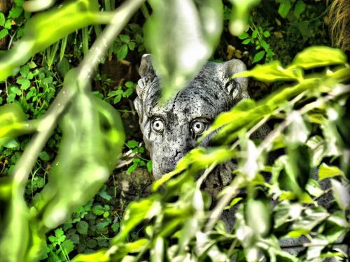 Fotografia de Diego Vallejo - Galeria Fotografica: RETIRO - Foto: 