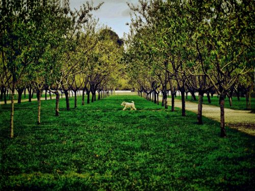 Fotografia de Diego Vallejo - Galeria Fotografica: RETIRO - Foto: 