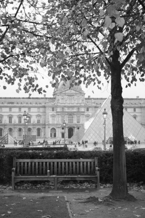 Fotografia de kiara's photos - Galeria Fotografica: al alrededor del mundo - Foto: solitude