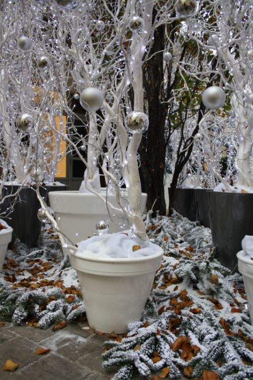 Fotografia de kiara's photos - Galeria Fotografica: al alrededor del mundo - Foto: bianco e verde