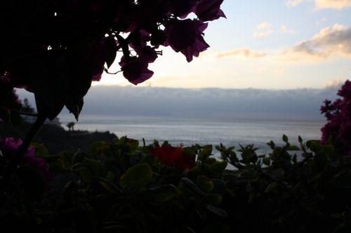 Fotografia de kiara's photos - Galeria Fotografica: al alrededor del mundo - Foto: natura e cielo