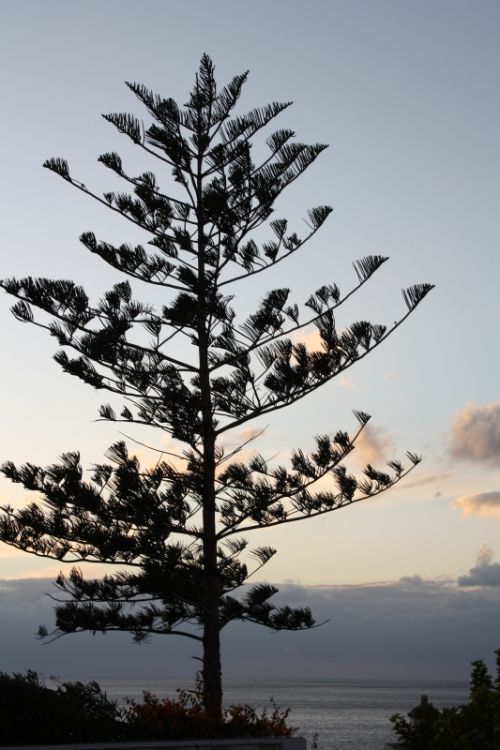 Fotografia de kiara's photos - Galeria Fotografica: al alrededor del mundo - Foto: siempre verde