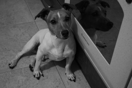 Fotografia de kiara's photos - Galeria Fotografica: Black and White - Foto: 