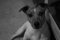 Fotos de kiara's photos -  Foto: Black and White - 