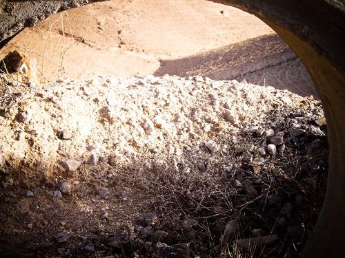 Fotografia de Beto - Galeria Fotografica: Naturaleza - Foto: 