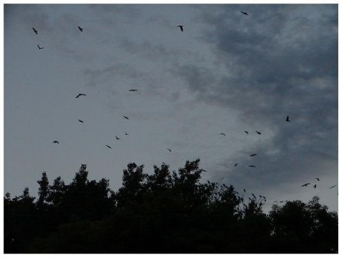 Fotografia de Cristobal - Galeria Fotografica: Places - Foto: 