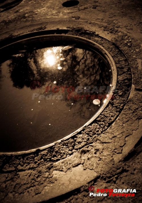 Fotografia de Fotografia Ferreyra - Galeria Fotografica: Tren - Foto: 