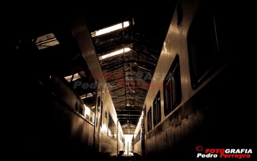 Fotografia de Fotografia Ferreyra - Galeria Fotografica: Tren - Foto: 