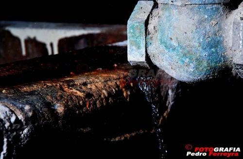 Fotografia de Fotografia Ferreyra - Galeria Fotografica: Tren - Foto: 