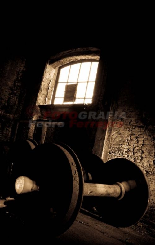 Fotografia de Fotografia Ferreyra - Galeria Fotografica: Tren - Foto: 