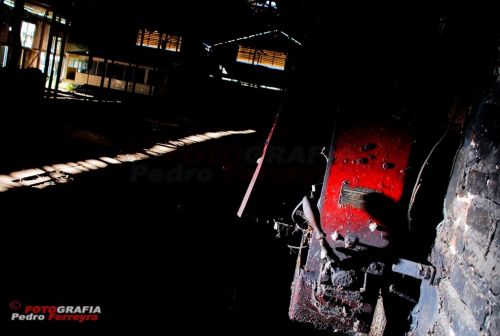 Fotografia de Fotografia Ferreyra - Galeria Fotografica: Tren - Foto: 