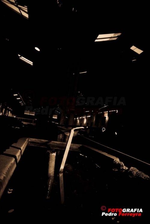 Fotografia de Fotografia Ferreyra - Galeria Fotografica: Tren - Foto: 